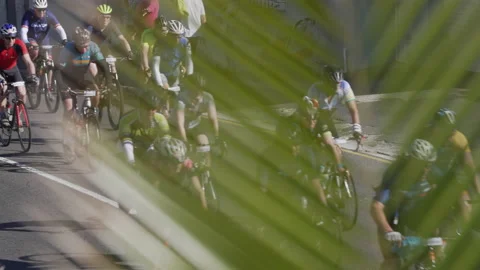 Cyclists on road palm tree in foreground,4K 50p. 스톡 동영상 162660899