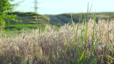 Cyclists running down the hill Stock Footage 76593973