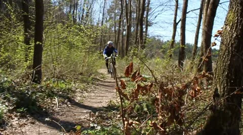 Cyclists on singletrack Stock Footage 10804895