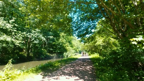 Cyclists on a summer day Stock Footage 169360908