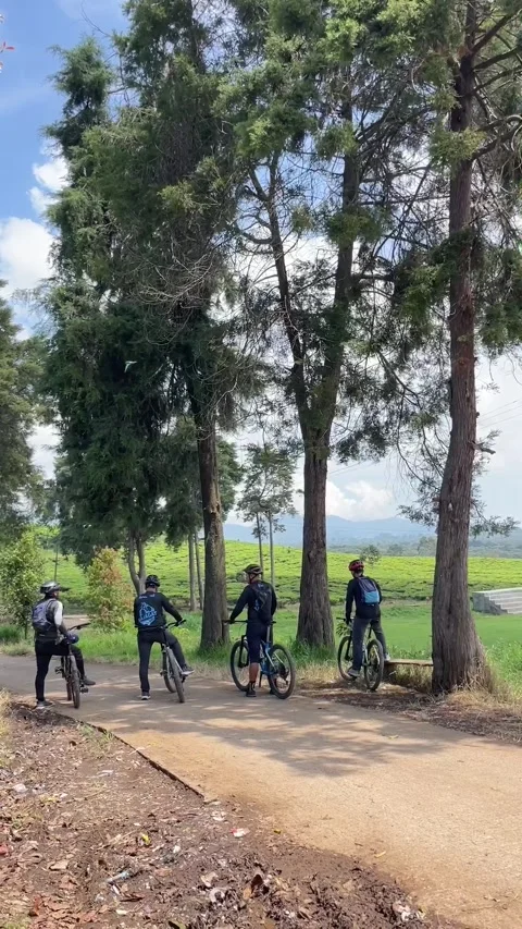 Cyclists Taking a Break on a Scenic Rural Road in Pangalengan, Indonesia. Видео 344573960