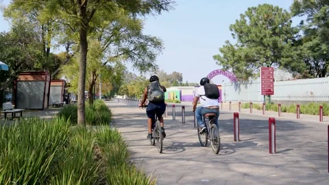 Cyclists touring the cycle lane in the Chapultepec forest Video stock 171432542