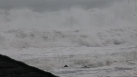 Cyclobelal Stock Footage 292613216