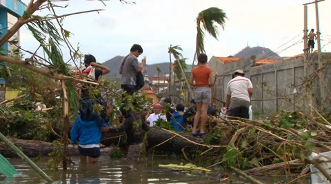 Cyclone aftermath - downed trees flooded streets Video stock 33956998