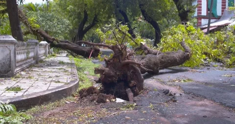 Cyclone  Aftermath Stock Footage 154873447