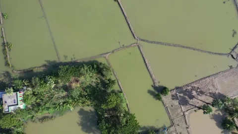 Cyclone Bulbul Aftermath Stock Footage 252051158