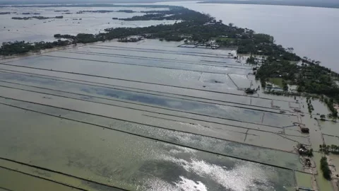 Cyclone Bulbul Aftermath Stock Footage 252051190
