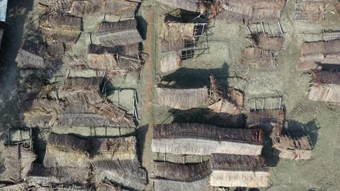 Cyclone Bulbul Aftermath Video stock 252051226