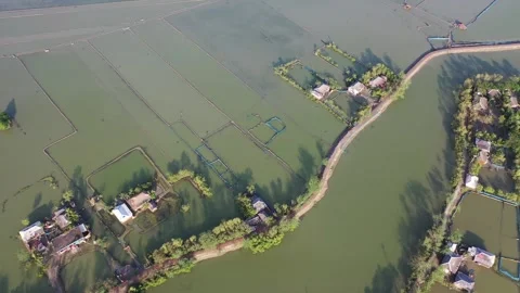 Cyclone Bulbul Aftermath Stock Footage 252051285