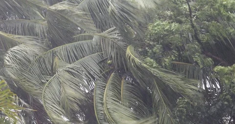 Cyclone hits Stock Footage 119766959