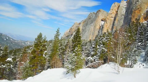 Cyclorama edge of a winter forest in the mountains Stock Footage 50765251