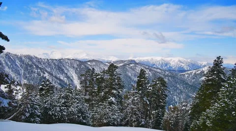 Cyclorama forest clearing 360 Stock Footage 50766979