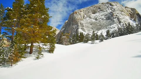 Cyclorama forest clearing Stock Footage 50766867
