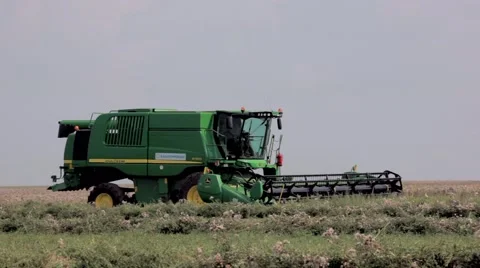 Cylinder mower machine cutting grass in field Stock Footage 48769427