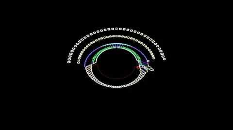 Cylinders-HD-011 Stock Footage 10841289