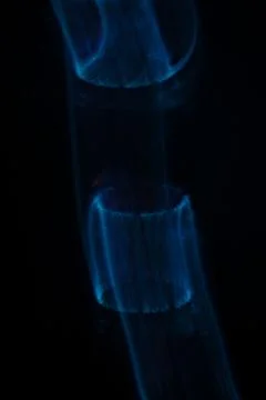 Cylindrical Forms of Deep Blue Light Stock Photos