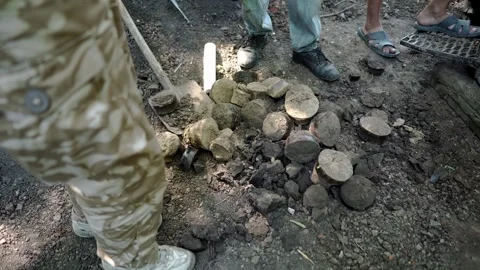 Cylindrical soil core samples collected during a geotechnical drilling survey Stock Footage 338227237