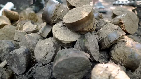 Cylindrical soil core samples collected during a geotechnical drilling survey Stock Footage 338227312