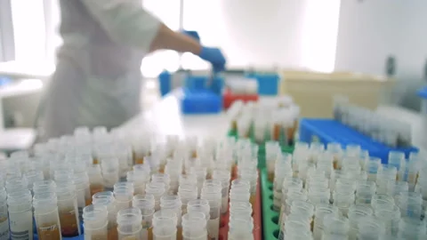 Cylindrical test tubes are getting sorted by a lab worker Stock Footage 92665685
