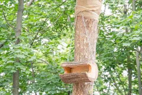 Cylindrical tree trunk transformed as bird feeder, multiple sizes and shapes  Stock Photos