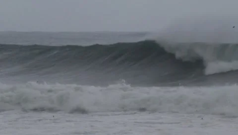 Cylogarance1 Stock Footage 303122086