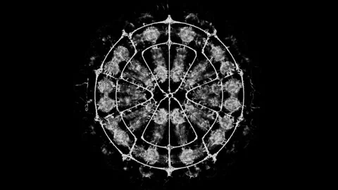 Cymatic Patterns in Mycelium Growth Stock Footage 305135458