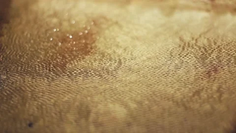 Cymatic waves on the surface of the water Stock Footage 138876429