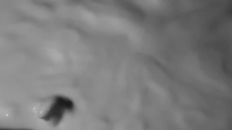 CYMATICS 01 Stock Footage 84531522