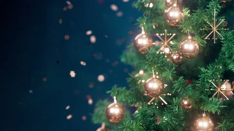 Cyne xmas tree close up Video stock 247135230