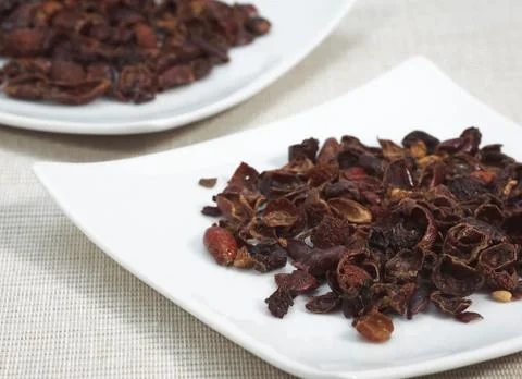 CYNORRHODON Stock Photos