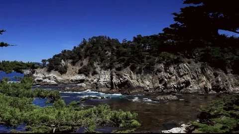 Cypress Cove Point Lobos 1 Stock Footage 104598126