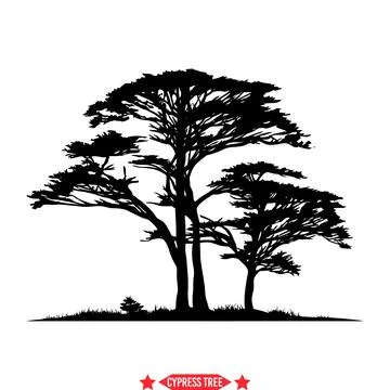 Cypress Forest Vector Collection Graceful Silhouettes for Environmental Pro.. Stock Illustration