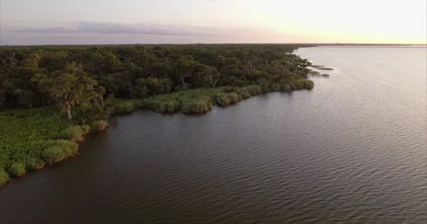 Cypress hammock and reed beds along a quiet Lake Jesup bank Vídeos de archivo 64710718