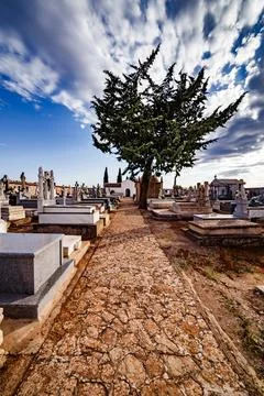 Cypress on the inner path of the cemetery Stock Photos