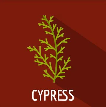 Cypress leaf icon, flat style Stock Illustration