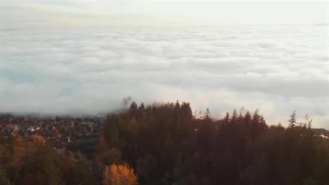 Cypress Mountain BC Canada 3 Stock Footage 295090207