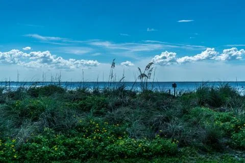 Cypress Point Park Stock Photos