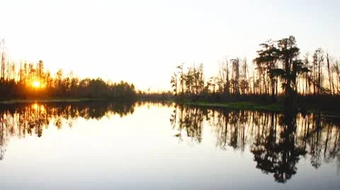 Cypress Swamp Sunset Stock Footage 8913103