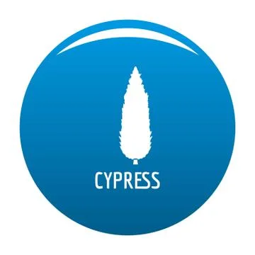 Cypress tree icon blue Stock Illustration