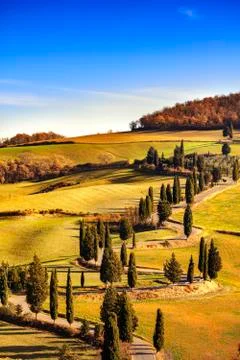 Cypress tree scenic road in Monticchiello near Siena, Tuscany, Italy. Stock Photos