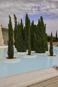 Cypress trees growing in reflecting pools at City of Arts and Sciences Valenc Stock Photos