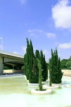 Cypress trees in the park Stock Photos