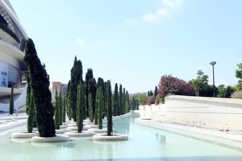 Cypress trees in the park Stock Photos