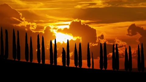Cypress trees on a road in Tuscany, Time Lapse at Sunset with Red Sun Stock Footage 292540259