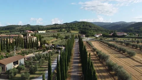 Cypress in tuscany 스톡 동영상 158929317