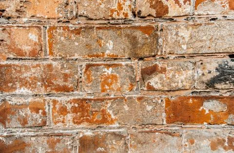 Cypress wall texture pattern red cypress blocks, close-up, old dilapidated wall. Stock Photos