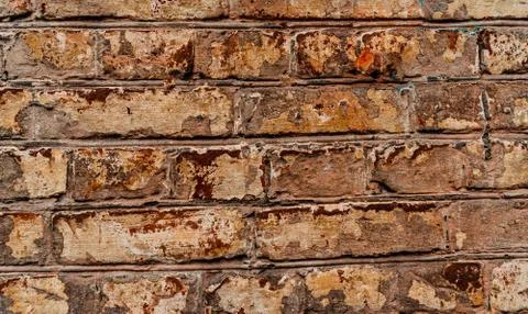 Cypress wall texture pattern red cypress blocks, close-up, old dilapidated wall. Stock Photos