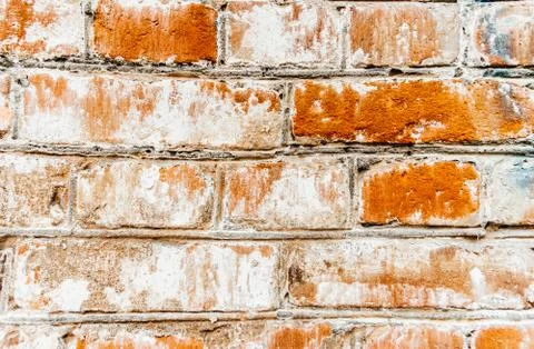 Cypress wall texture pattern red cypress blocks, close-up, old dilapidated wall. Stock Photos