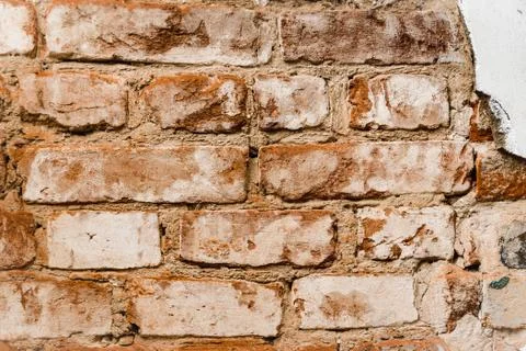 Cypress wall texture pattern red cypress blocks, close-up, old dilapidated wall. Stock Photos