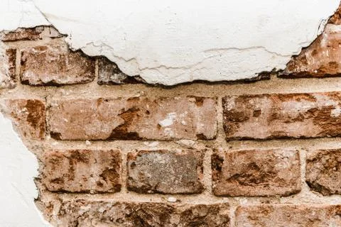 Cypress wall texture pattern red cypress blocks, close-up, old dilapidated wall. Stock Photos